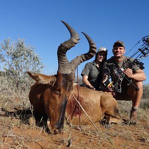 Red Hartebeest Bow Hunt South Africa