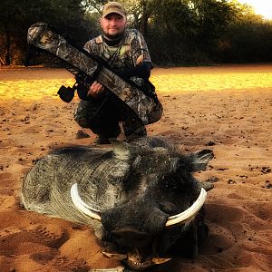 Warthog “Phacochoerus Africanus” Bowhunting South Africa