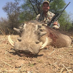 South Africa Hunt Warthog