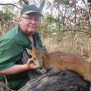 Red-flanked Duiker Hunt Cameroon