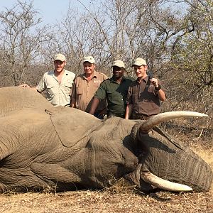 Elephant Hunting South Africa