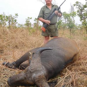 West African Savanna Buffalo Hunting Cameroon