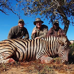 South Africa Hunt Burchell's Plain Zebra