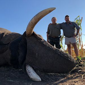 Elephant Hunt Zimbabwe