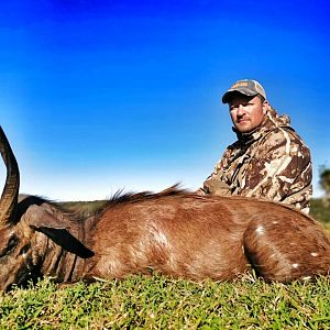 South Africa Hunting Bushbuck