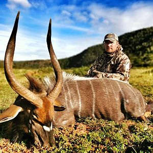 South Africa Hunt Nyala