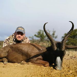 Black Springbok Hunting South Africa