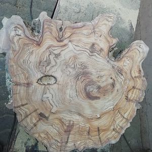 Olive wood meat/chopping block