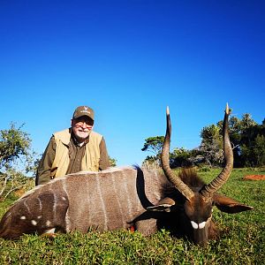 Nyala Hunting South Africa