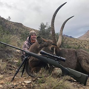 Waterbuck Hunting South Africa