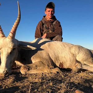 South Africa Hunt White Blesbok