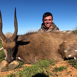 Hunting Bushbuck in South Africa