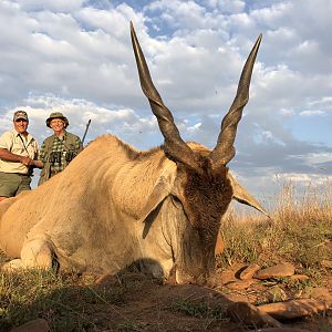 Eland Hunting South Africa