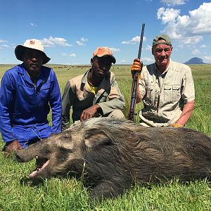 Hunting Bushpig in South Africa