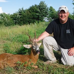 Roe Deer Hunt Romania