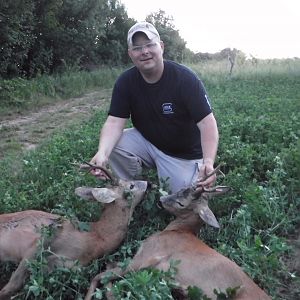 Hunt Roe Deer in Romania