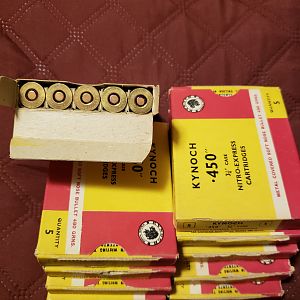 450NE 480g Ammo