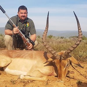 Impala Hunt South Africa