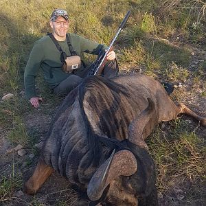 Blue Wildebeest Hunt South Africa