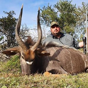 Hunt Nyala in South Africa