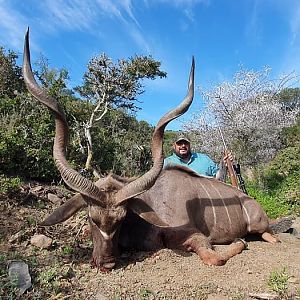 Kudu Hunting South Africa