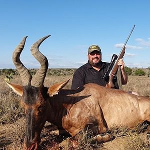 South Africa Hunt Red Hartebeest