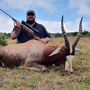 Hunting Blesbok in South Africa