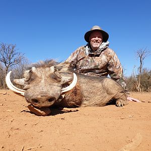 Hunting Warthog in South Africa