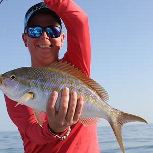 Florida Keys Fishing Yellowtail Snapper