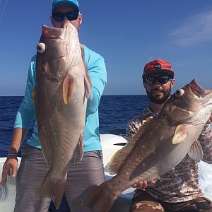 Florida Keys Fishing