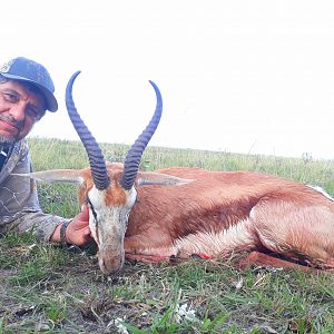 Springbok Hunting South Africa