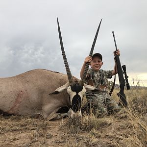 New Mexico oryx