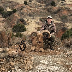 Hunting Aoudad in Texas USA