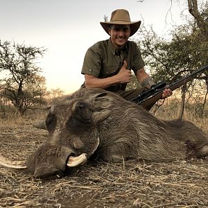 Hunting Warthog in South Africa