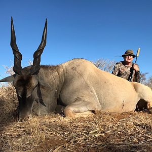 South Africa Hunting Eland