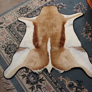 Springbok Rug