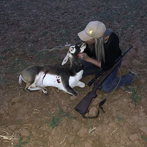 Blackbuck Hunt Texas USA