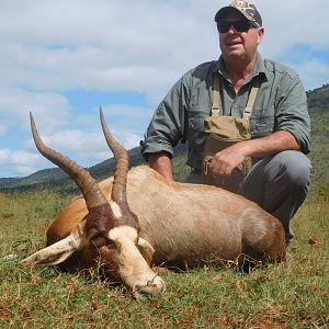 South Africa Hunt Blesbok