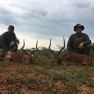 South Africa Hunt Impala