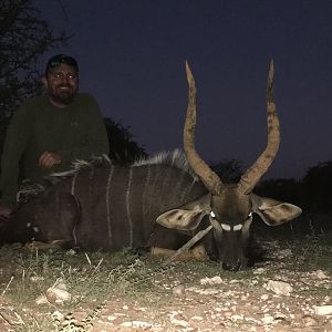 Hunting Nyala in South Africa