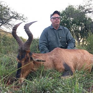 South Africa Hunting Red Hartebeest