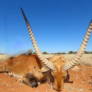 South Africa Hunting Lechwe