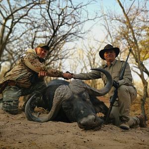 Cape Buffalo Hunt South Africa