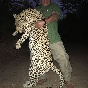 Hunt Leopard in South Africa