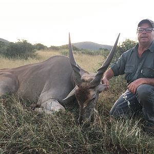 Eland Hunting South Africa