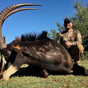 Hunting Sable in South Africa