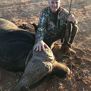 Cape Buffalo Hunt South Africa