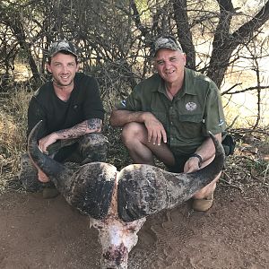 South Africa Hunting Buffalo