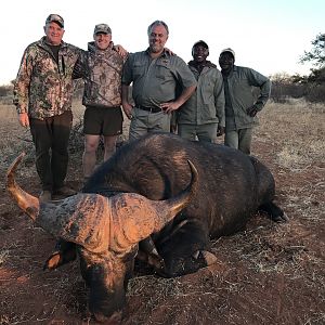 Hunt Cape Buffalo in South Africa