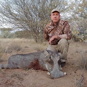 Namibia Hunt Warthog